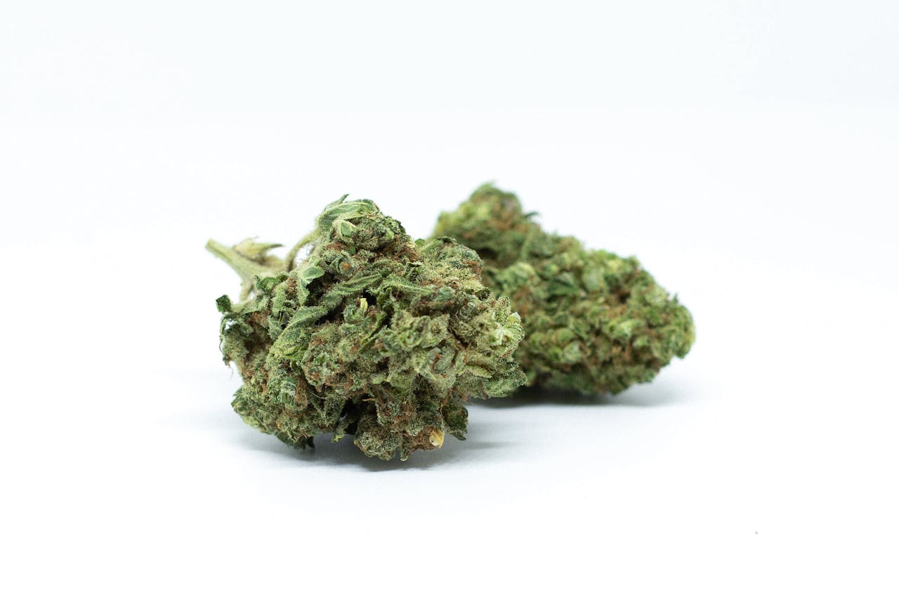 High-resolution macro shot of cannabis buds isolated on a clean white background.