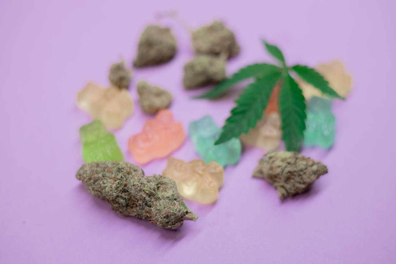 Close-up of cannabis buds and colorful gummy bears on a purple surface, highlighting cannabis culture.
