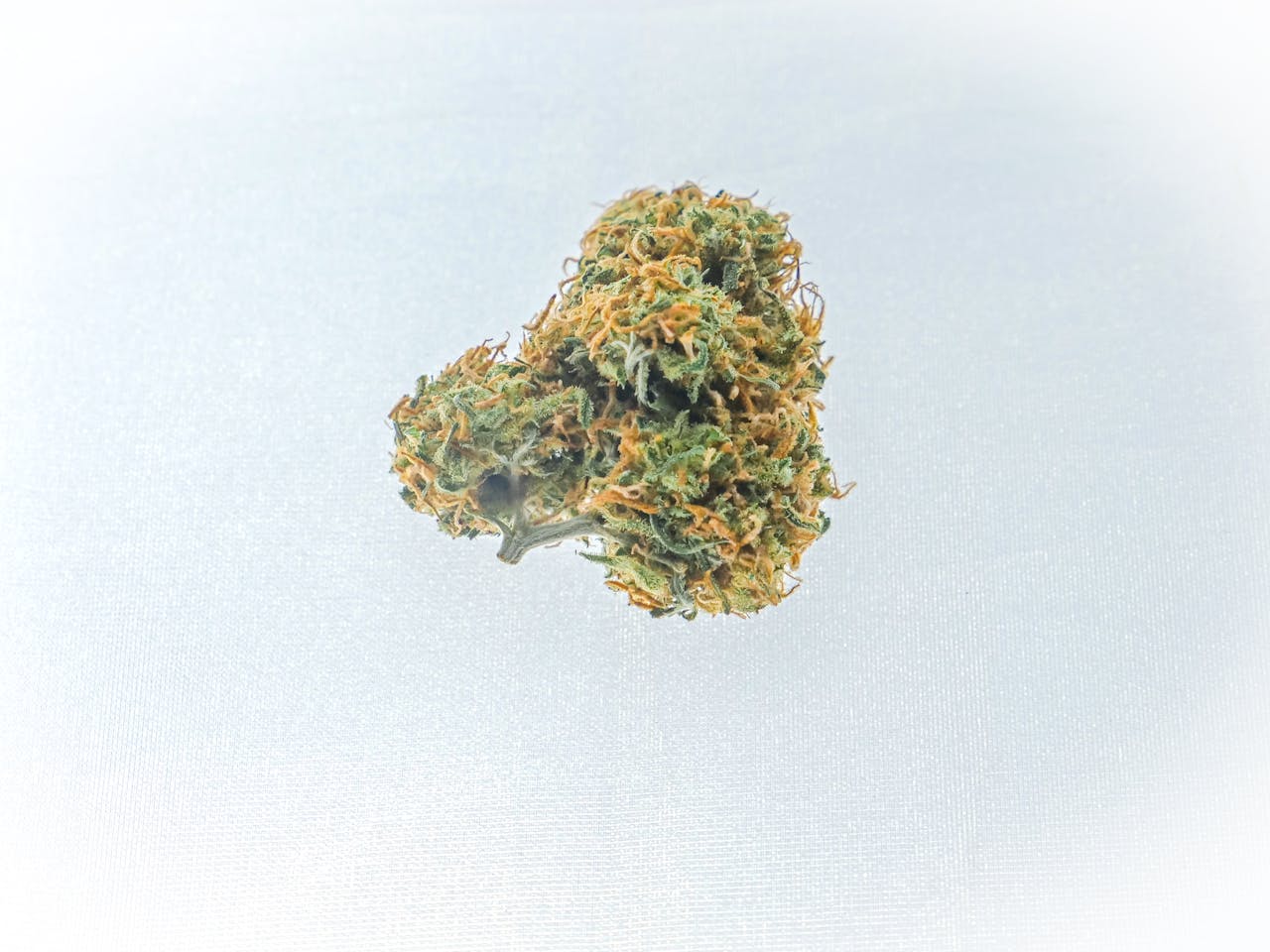 Detailed close-up of a single cannabis bud isolated on a white background.